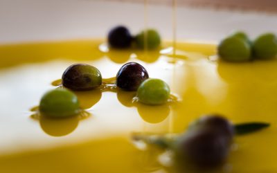 Maslinovo ulje kao temelj mediteranskog načina života u hrvatskoj kuhinji