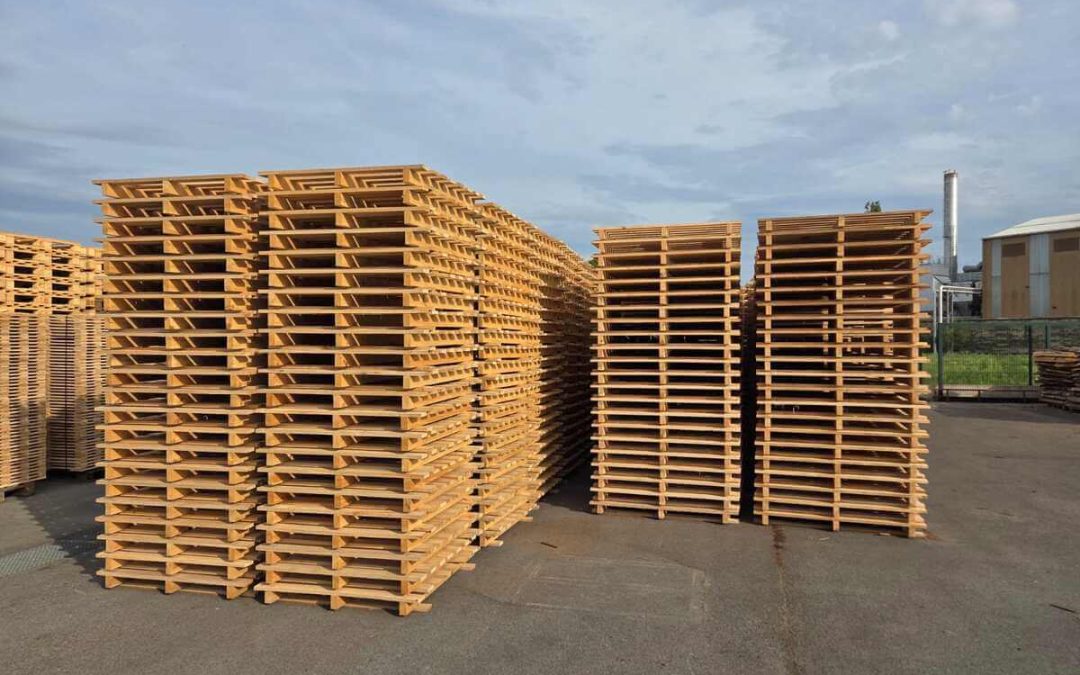 Cijena paleta u Hrvatskoj: što sve utječe na trošak i kako donijeti dugoročno isplativu odluku