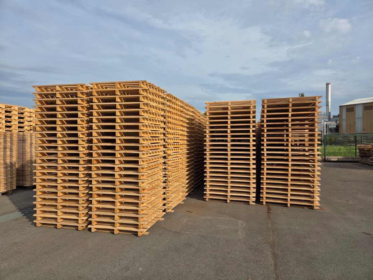 WhatsApp Image 2026-02-18 at 09.15.20 (1)