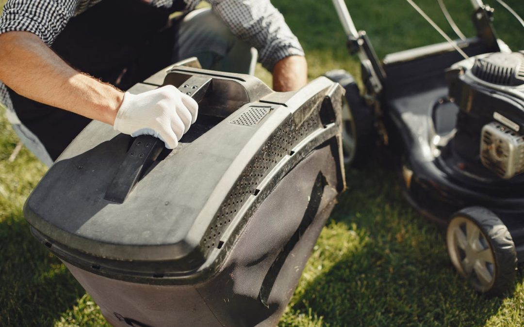 Održavanje travnjaka kao važan dio uređenja dvorišta u urbanim sredinama