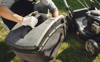 Održavanje travnjaka kao važan dio uređenja dvorišta u urbanim sredinama